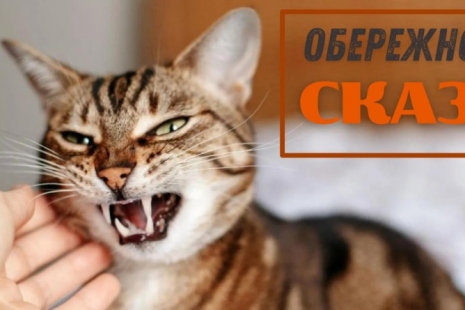 Обережно сказ